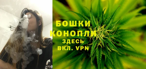 СК Белокуриха