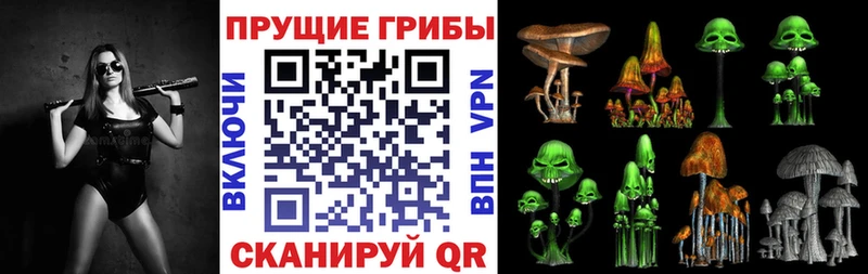 Псилоцибиновые грибы прущие грибы  Чаплыгин 
